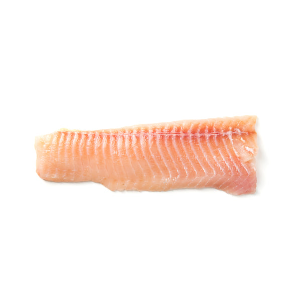 Northern Pike | Fillets